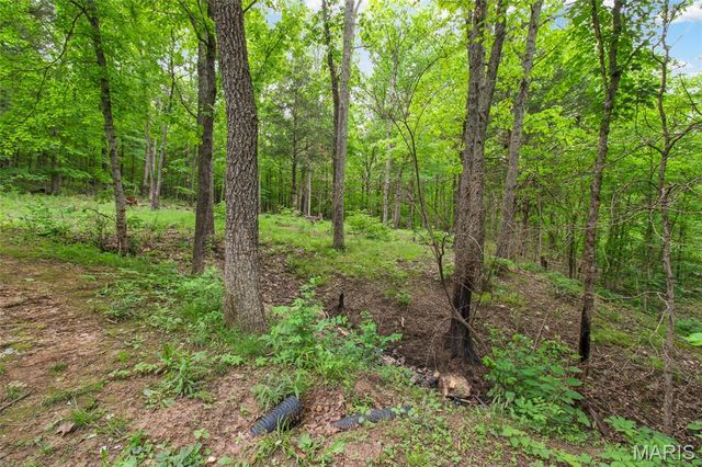 3416 Hodge Road, De Soto, MO 63020