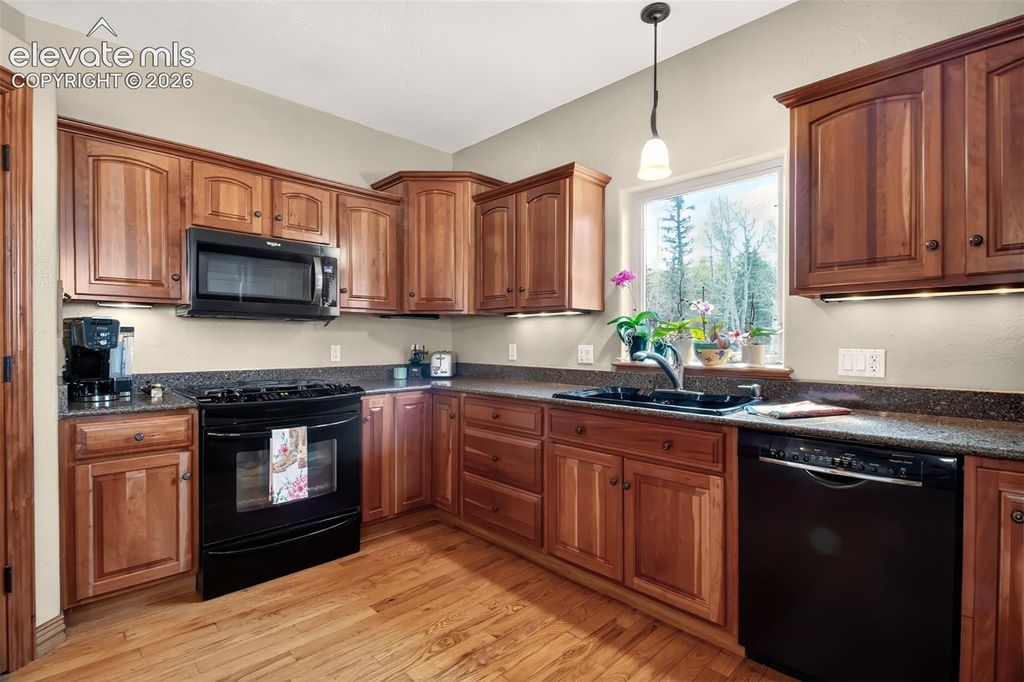 1471 County Road 51, Divide, CO 80814 — photo 3