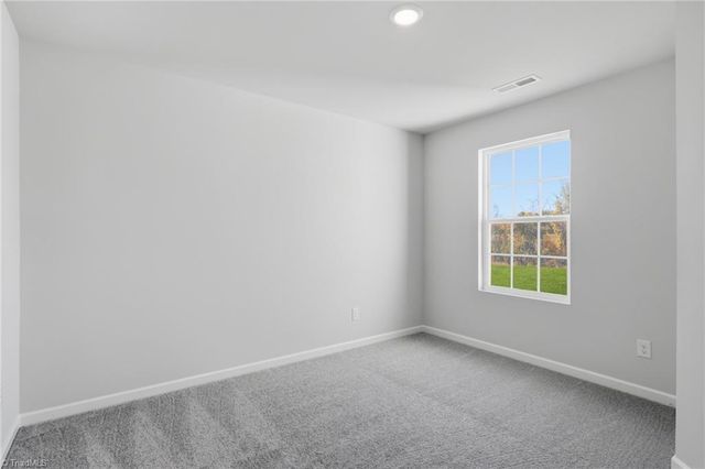 176 Plumtree Court, King, NC 27021