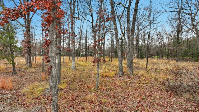 Lot 39 & 39A, Block 1 Fisherman's Bay, Quitman, TX 75783