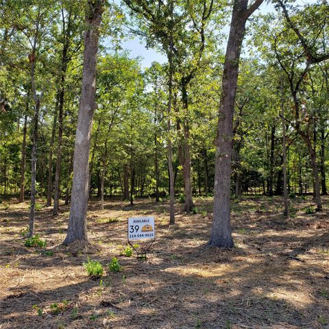 Lot 39 & 39A, Block 1 Fisherman's Bay, Quitman, TX 75783