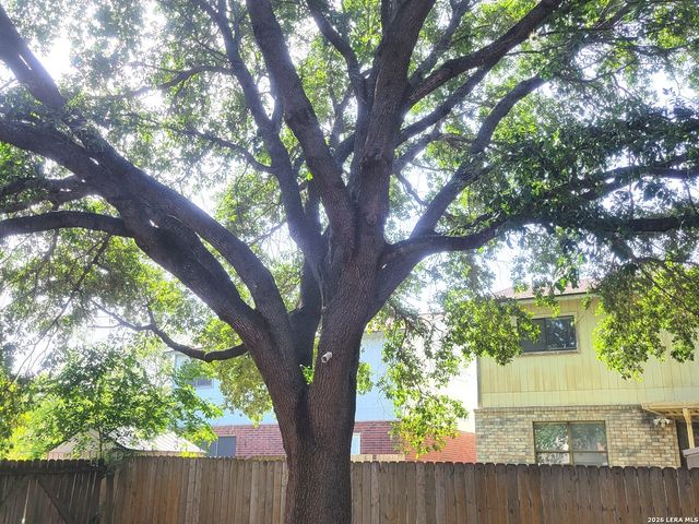 4607 Camas, San Antonio, TX 78247