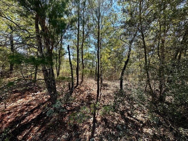 Lot 14 W Dogwood Avenue, Defuniak Springs, FL 32433