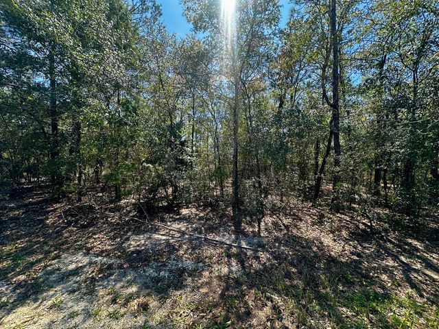 Lot 14 W Dogwood Avenue, Defuniak Springs, FL 32433