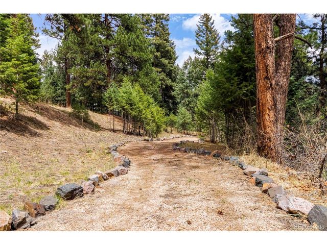 7008 Bluff Trl, Morrison, CO 80465