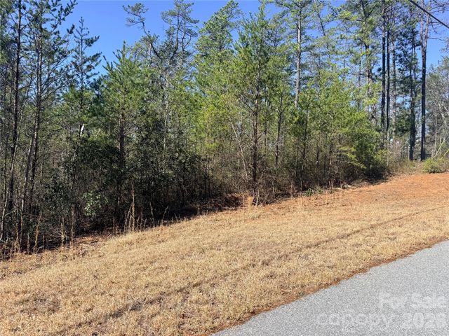 TBD John Wilson Lane, Collettsville, NC 28645