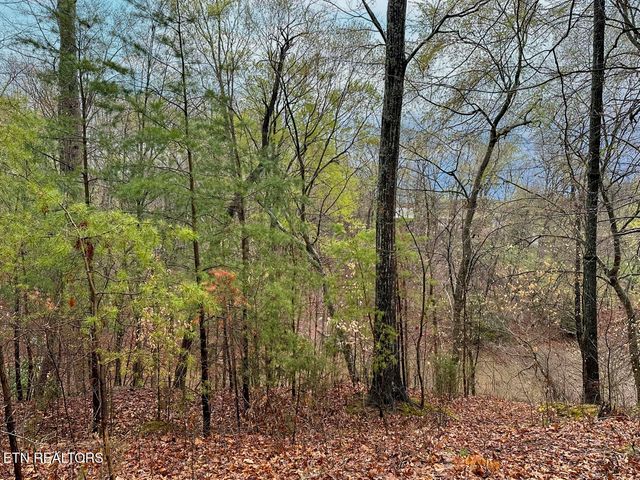 David Swann Drive, Dandridge, TN 37725