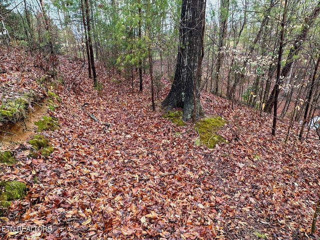 David Swann Drive, Dandridge, TN 37725