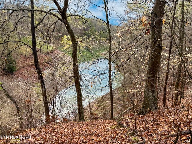 David Swann Drive, Dandridge, TN 37725