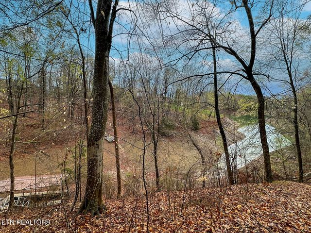 David Swann Drive, Dandridge, TN 37725