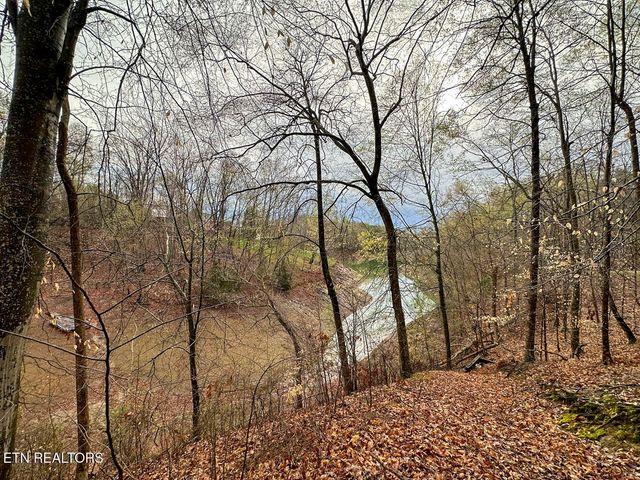 David Swann Drive, Dandridge, TN 37725