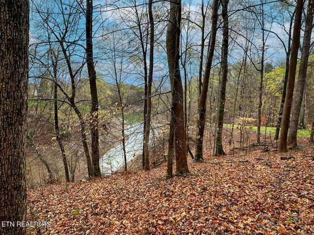 David Swann Drive, Dandridge, TN 37725