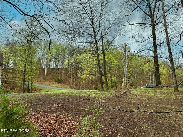 David Swann Drive, Dandridge, TN 37725