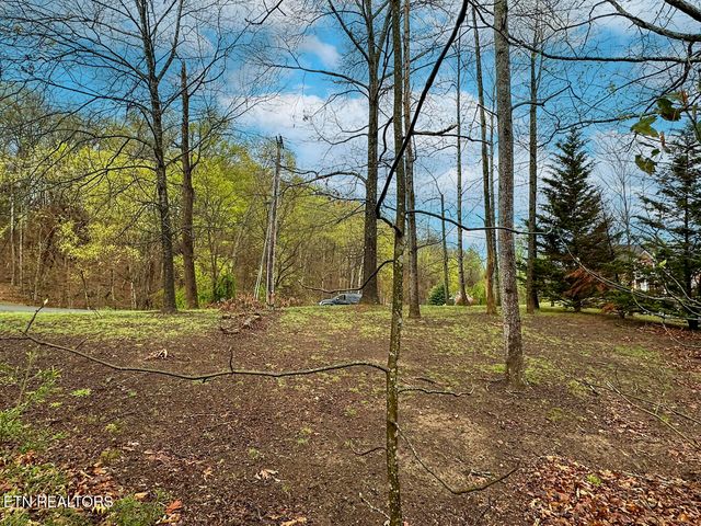 David Swann Drive, Dandridge, TN 37725