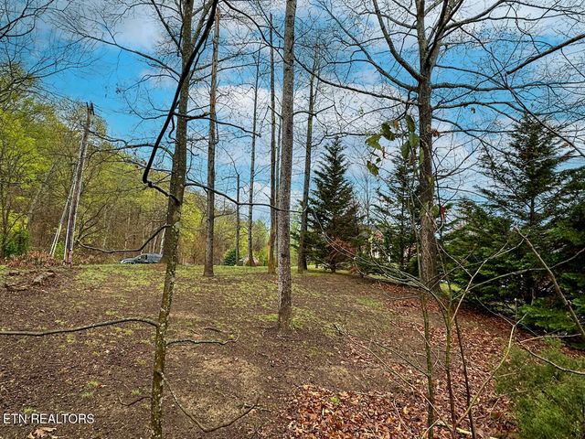 David Swann Drive, Dandridge, TN 37725