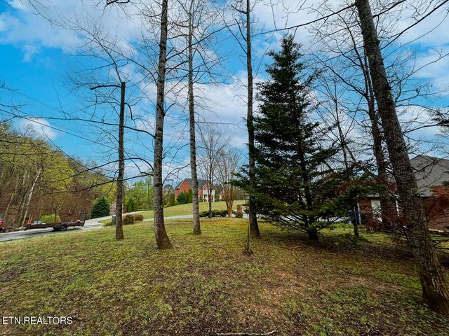 David Swann Drive, Dandridge, TN 37725