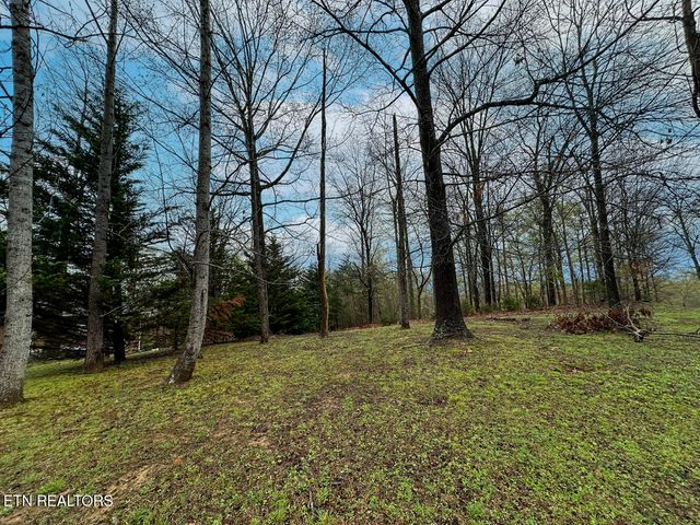 David Swann Drive, Dandridge, TN 37725