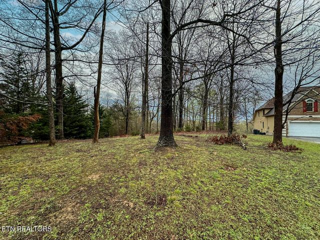 David Swann Drive, Dandridge, TN 37725