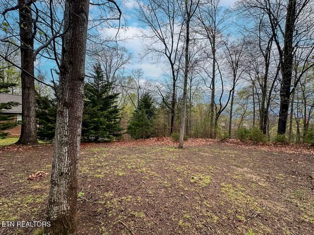 David Swann Drive, Dandridge, TN 37725