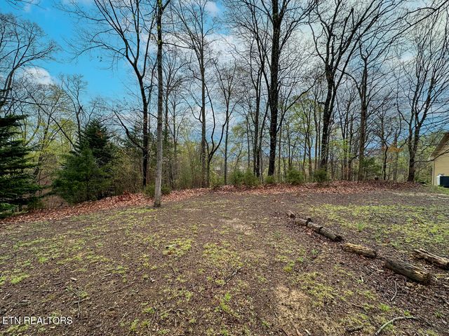 David Swann Drive, Dandridge, TN 37725