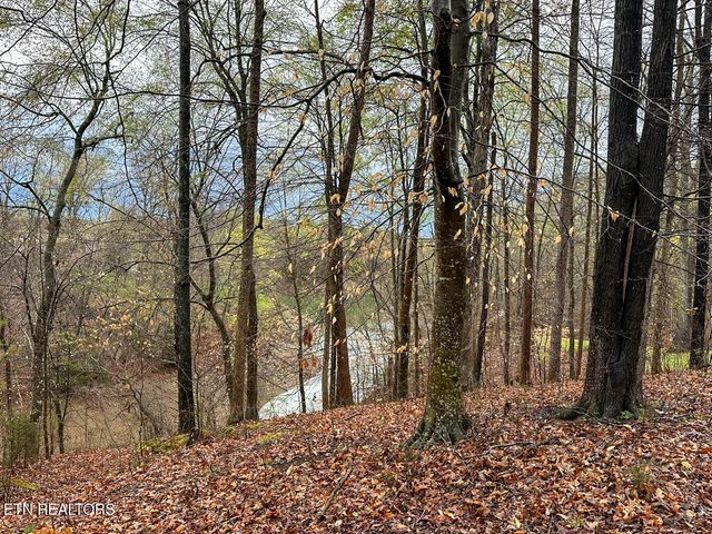 David Swann Drive, Dandridge, TN 37725