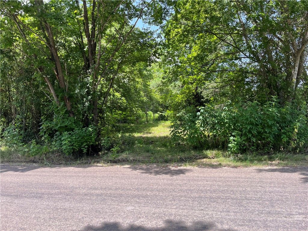 26847 FM39, North Zulch, TX 77872 — photo 2