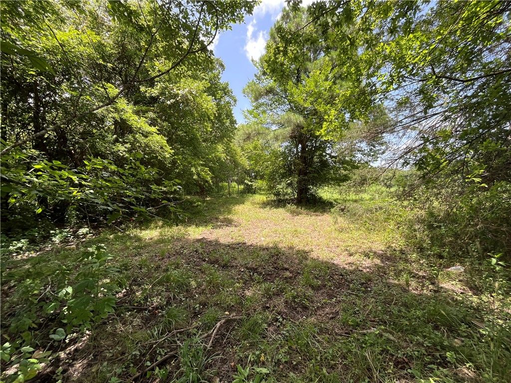 26847 FM39, North Zulch, TX 77872 — photo 3