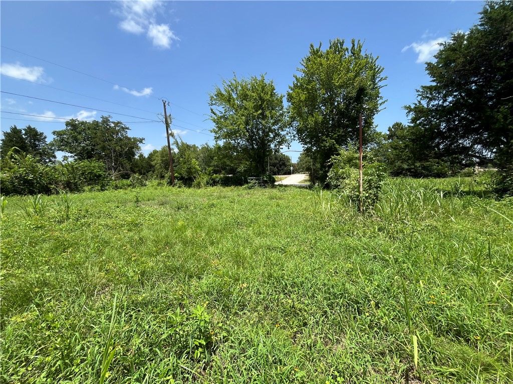26847 FM39, North Zulch, TX 77872 — photo 5