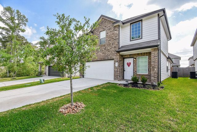 13534 Luke Prairie Court, Willis, TX 77378