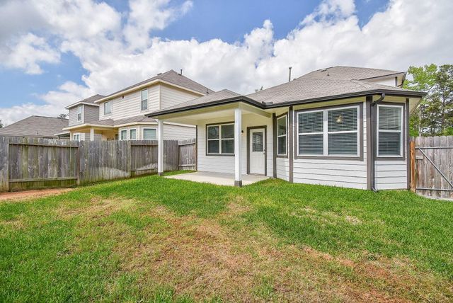 13534 Luke Prairie Court, Willis, TX 77378