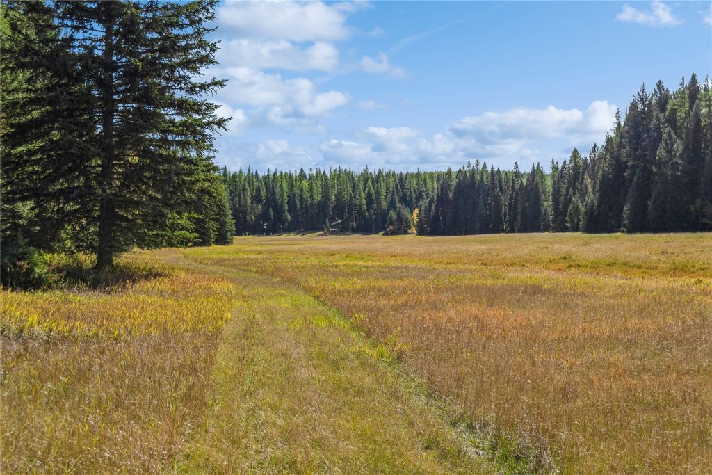 3217 Loon Lake Road, Trego, MT 59934 photo 12