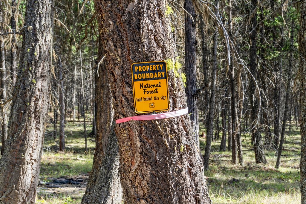 3217 Loon Lake Road, Trego, MT 59934 photo 13