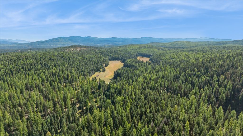 3217 Loon Lake Road, Trego, MT 59934 photo 15