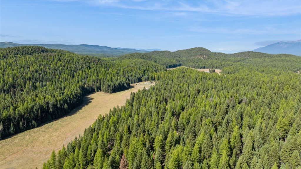 3217 Loon Lake Road, Trego, MT 59934 photo 16