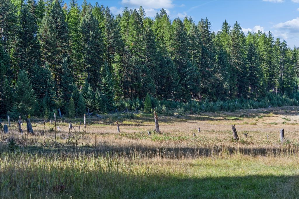 3217 Loon Lake Road, Trego, MT 59934 photo 18