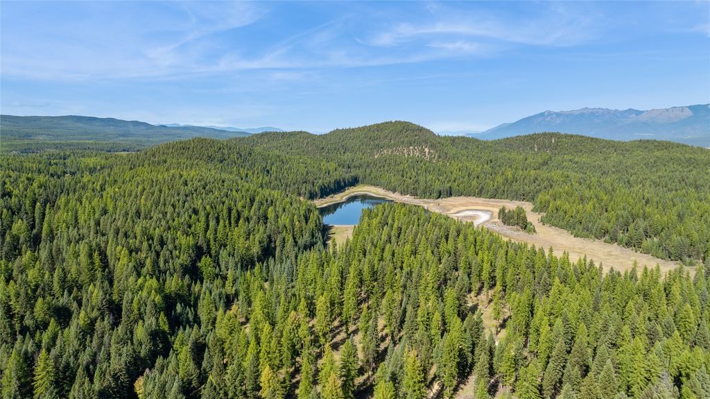 3217 Loon Lake Road, Trego, MT 59934 photo 25