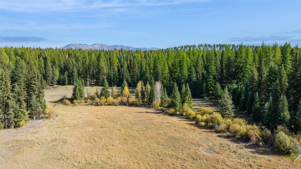 3217 Loon Lake Road, Trego, MT 59934 photo 27