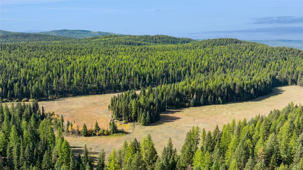 3217 Loon Lake Road, Trego, MT 59934 photo 28