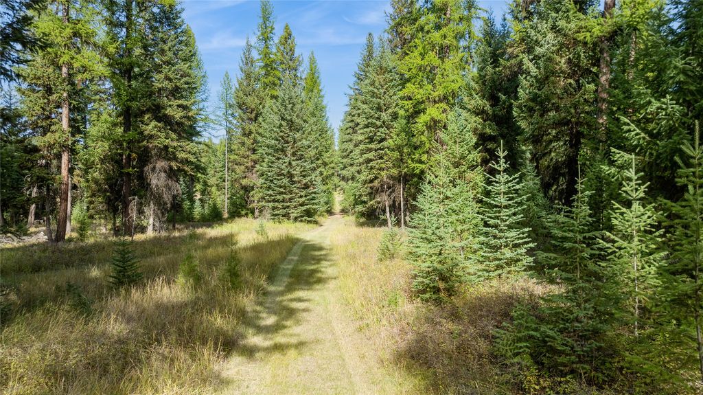 3217 Loon Lake Road, Trego, MT 59934 photo 30