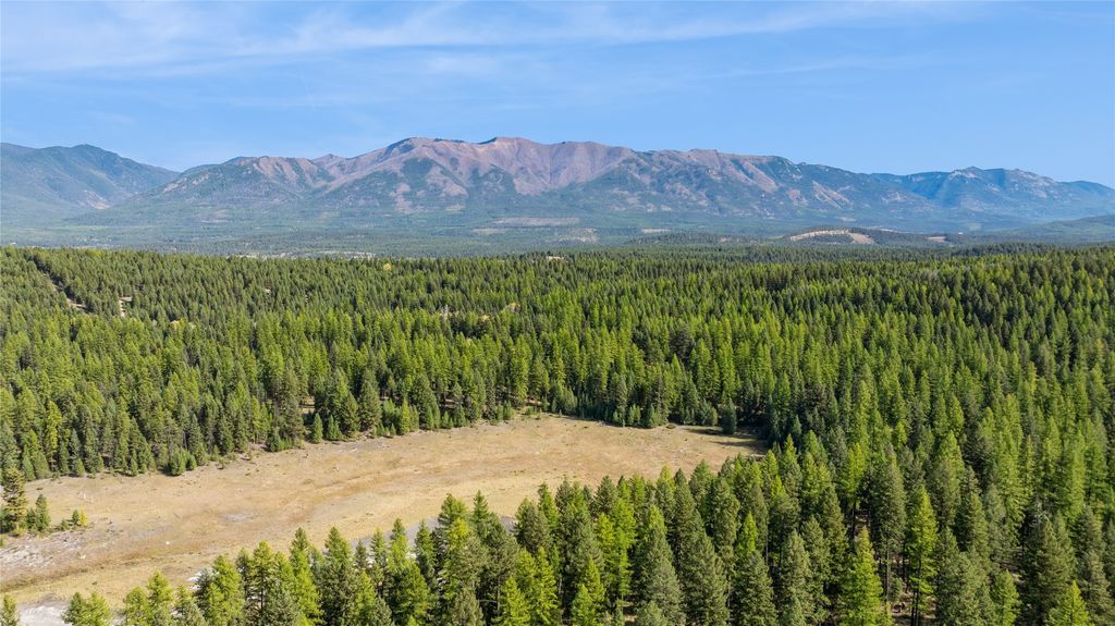 3217 Loon Lake Road, Trego, MT 59934 photo 33