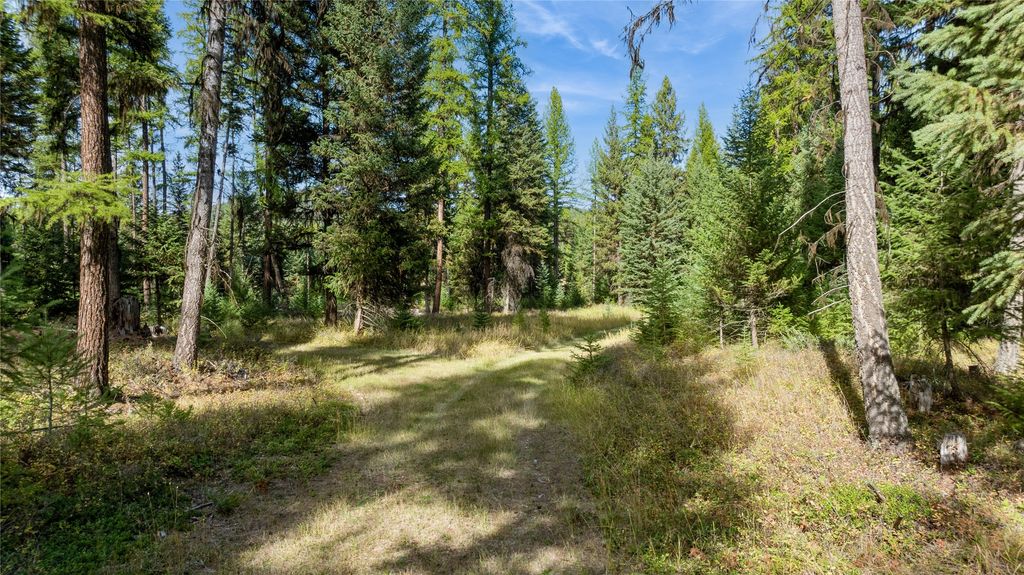 3217 Loon Lake Road, Trego, MT 59934 photo 34