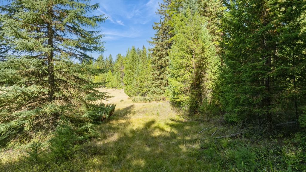 3217 Loon Lake Road, Trego, MT 59934 photo 38