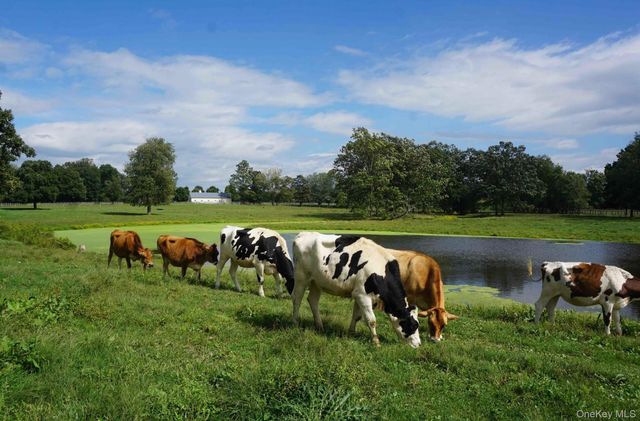 2039 Salt Point Turnpike, Salt Point, NY 12578