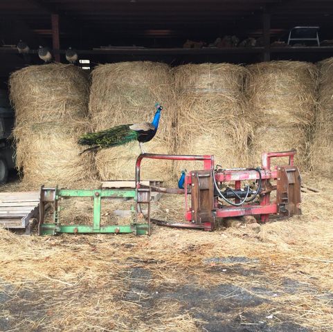 2039 Salt Point Turnpike, Salt Point, NY 12578