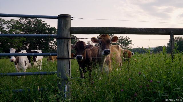 2039 Salt Point Turnpike, Salt Point, NY 12578