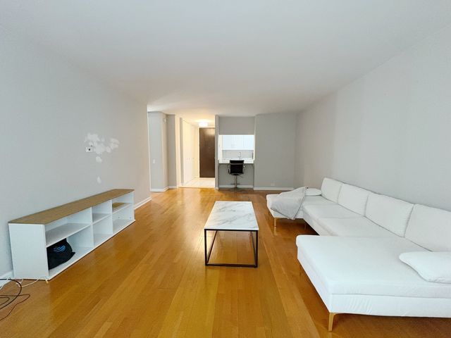 535 N Michigan Avenue 1403, Chicago, IL 60611