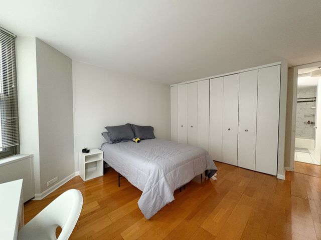 535 N Michigan Avenue 1403, Chicago, IL 60611