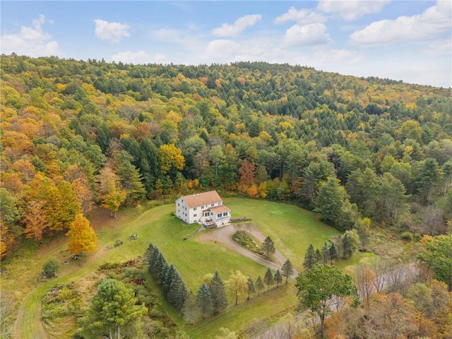440 Lower Green Street, Otego, NY 13825