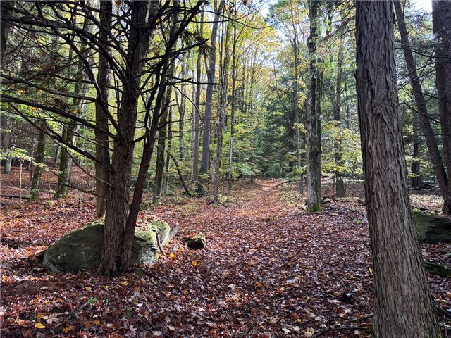 440 Lower Green Street, Otego, NY 13825