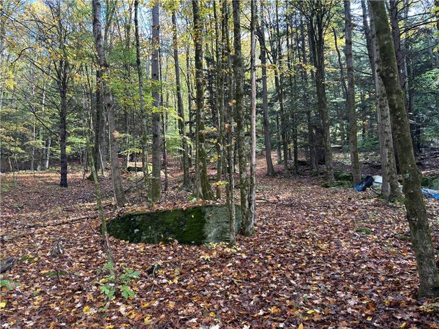 440 Lower Green Street, Otego, NY 13825